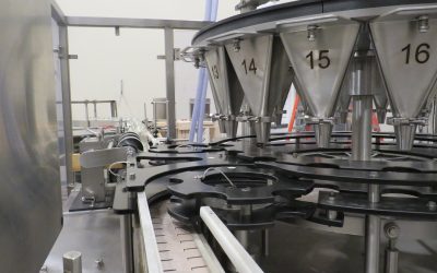 High-Speed Rotary vs. Dual-Head In-Line Powder Filling: Which Machine is Right for You?